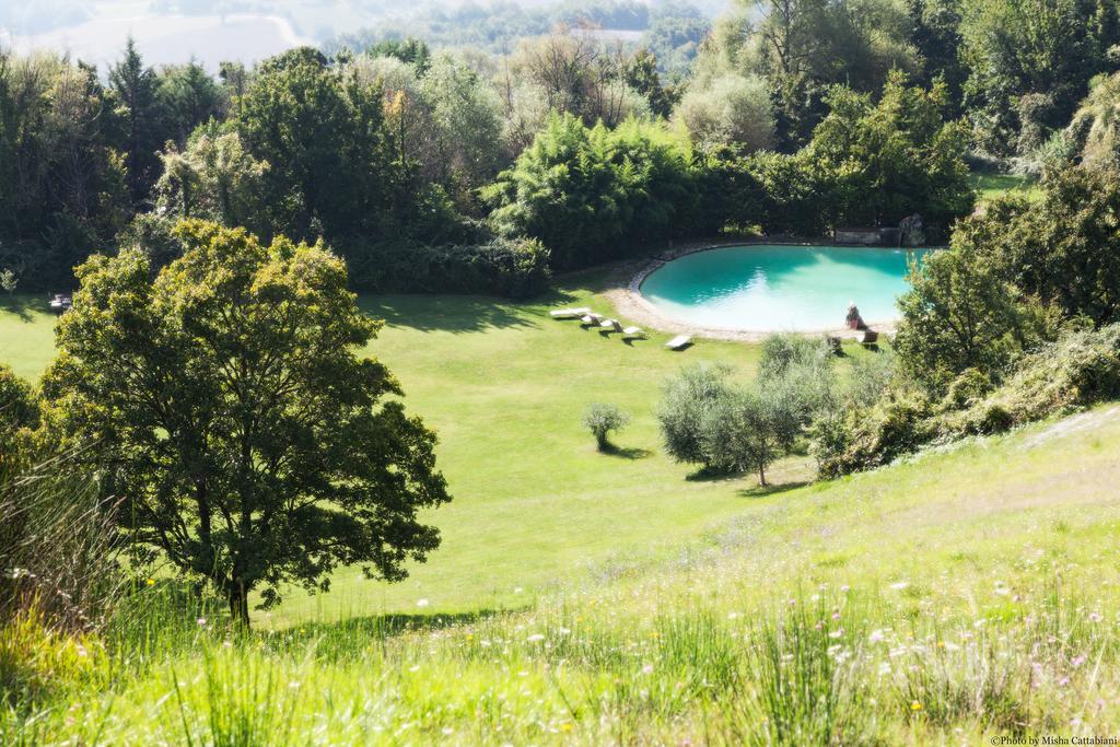 Agriturismo Paradiso41 Assisi Dış mekan fotoğraf