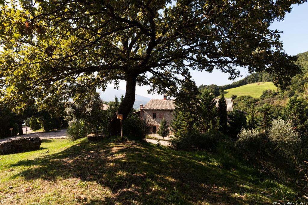 Agriturismo Paradiso41 Assisi Dış mekan fotoğraf