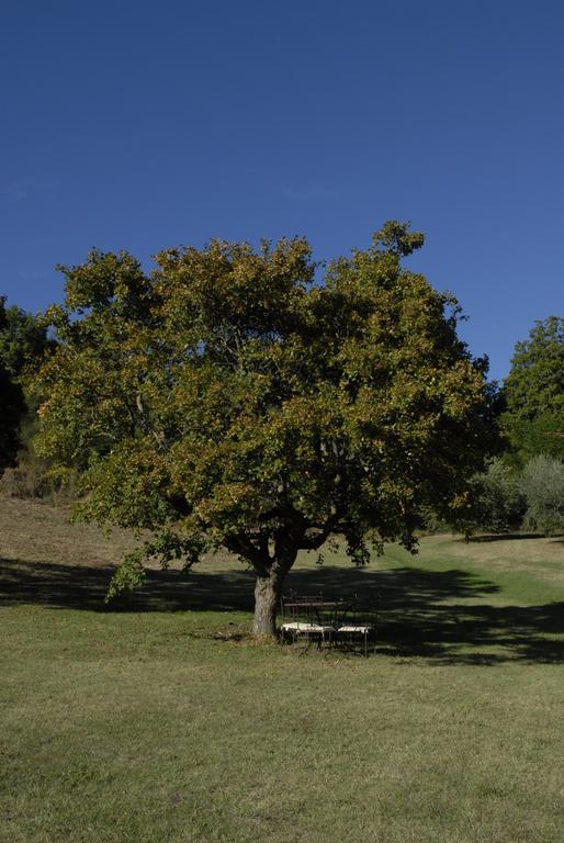 Agriturismo Paradiso41 Assisi Dış mekan fotoğraf