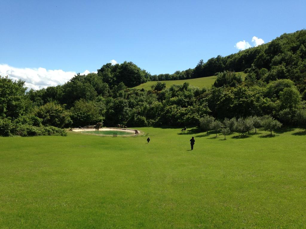 Agriturismo Paradiso41 Assisi Dış mekan fotoğraf