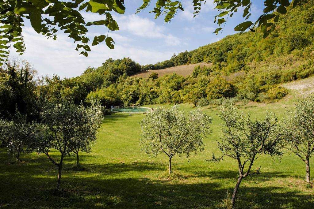Agriturismo Paradiso41 Assisi Dış mekan fotoğraf
